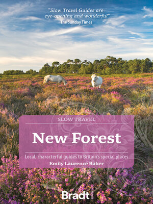 cover image of New Forest (Slow Travel)
